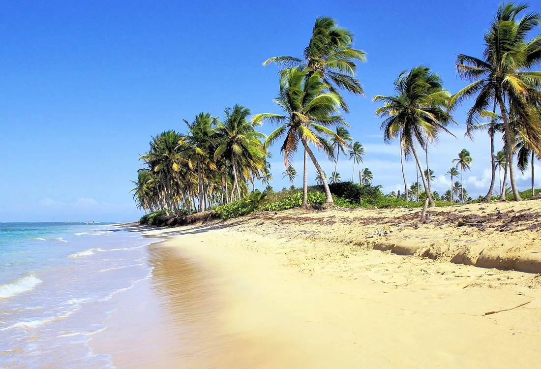 Une plage de rêve en République dominicaine.