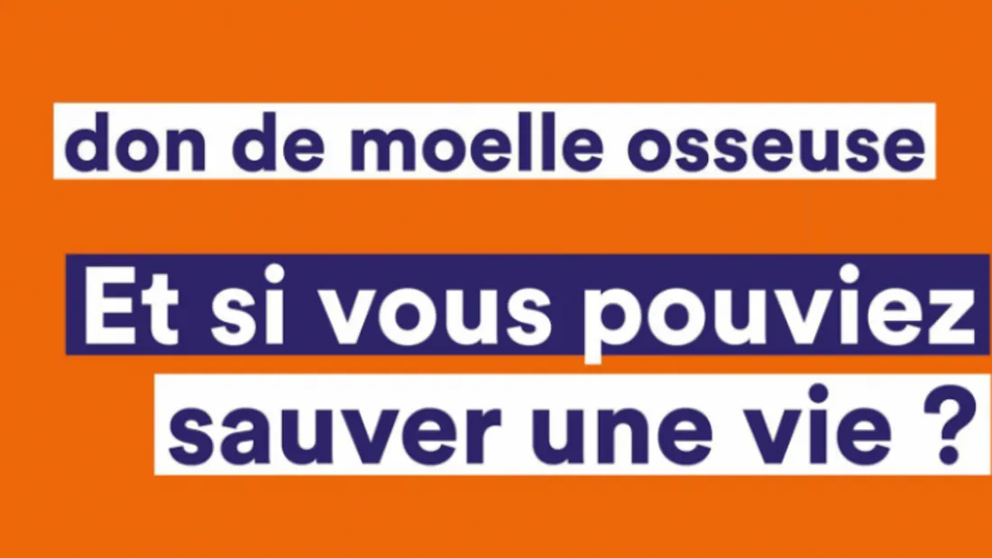 moelle osseuse 