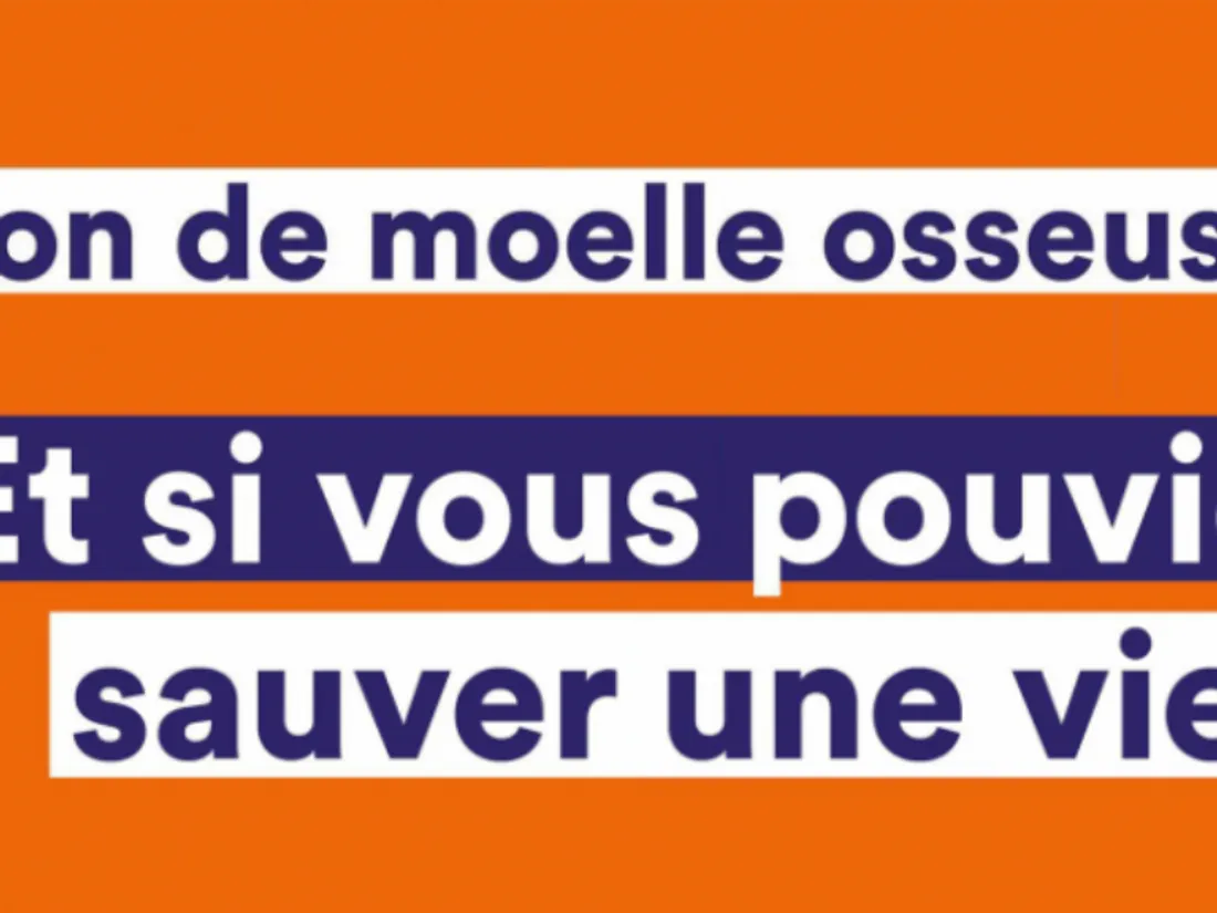 moelle osseuse 