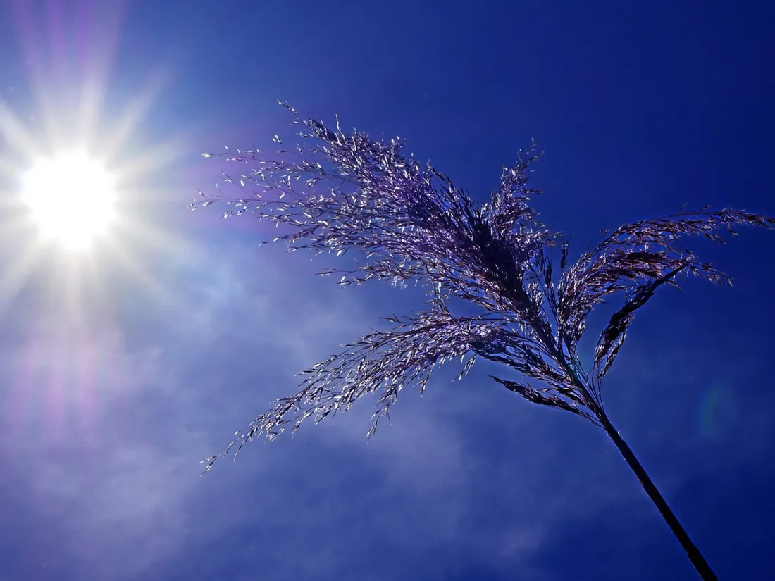 Les températures seront anormalement hautes pour la saison ce vendredi en Gironde