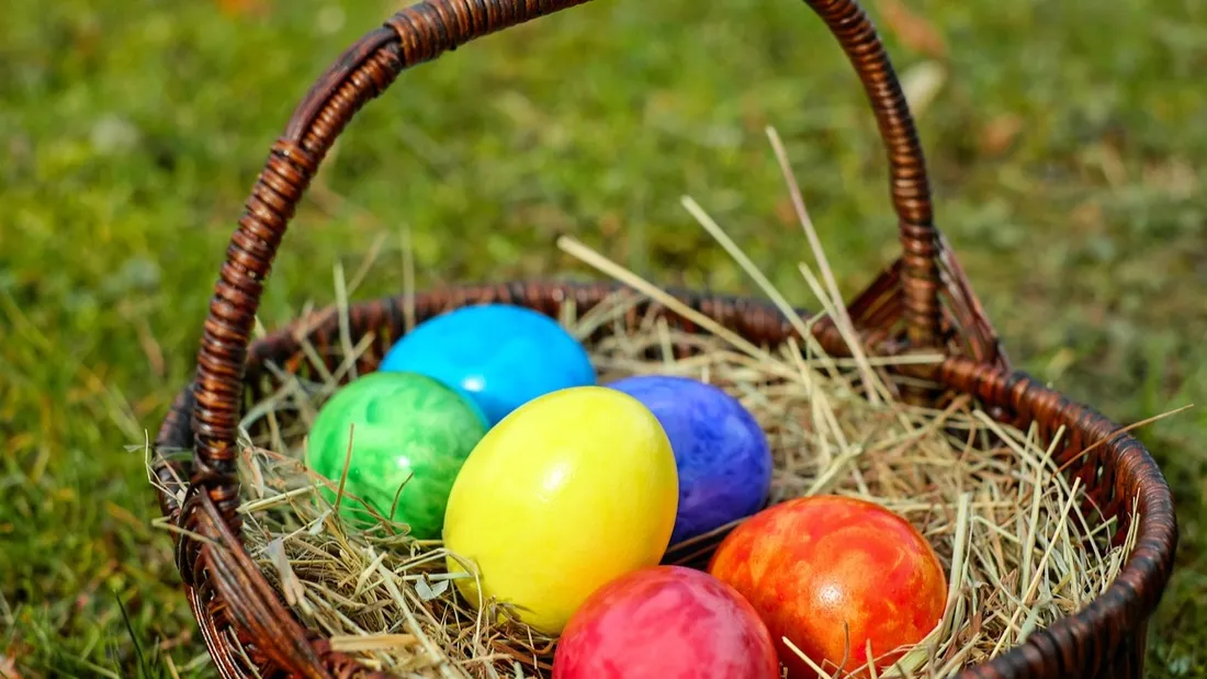 chasse aux oeufs