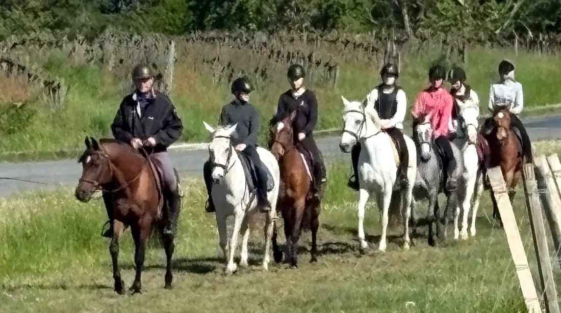 Les Écuries de Brandeau vous attendent pour vivre des balades à cheval inoubliables tout l’été.