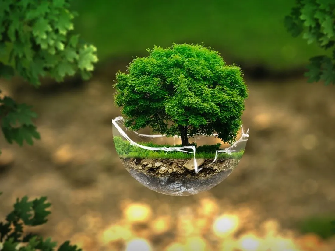 environnement