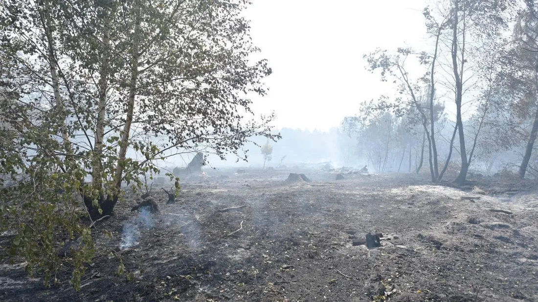 Le feu a ravagé plus de 300 hectares de végétation.