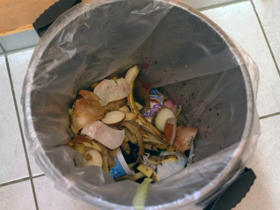 gaspillage alimentaire
