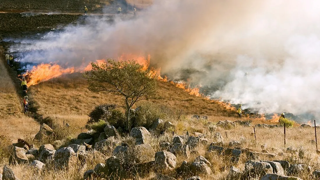 Incendies au Portugal