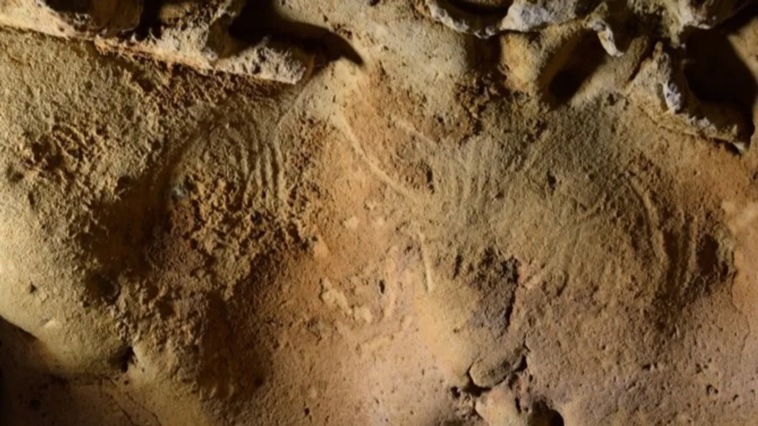 Des gravures sur les parois de la grotte de la Roche-Cotard.