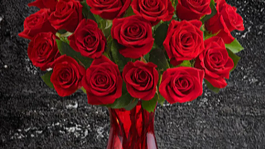 Roses rouges pour la Saint-Valentin