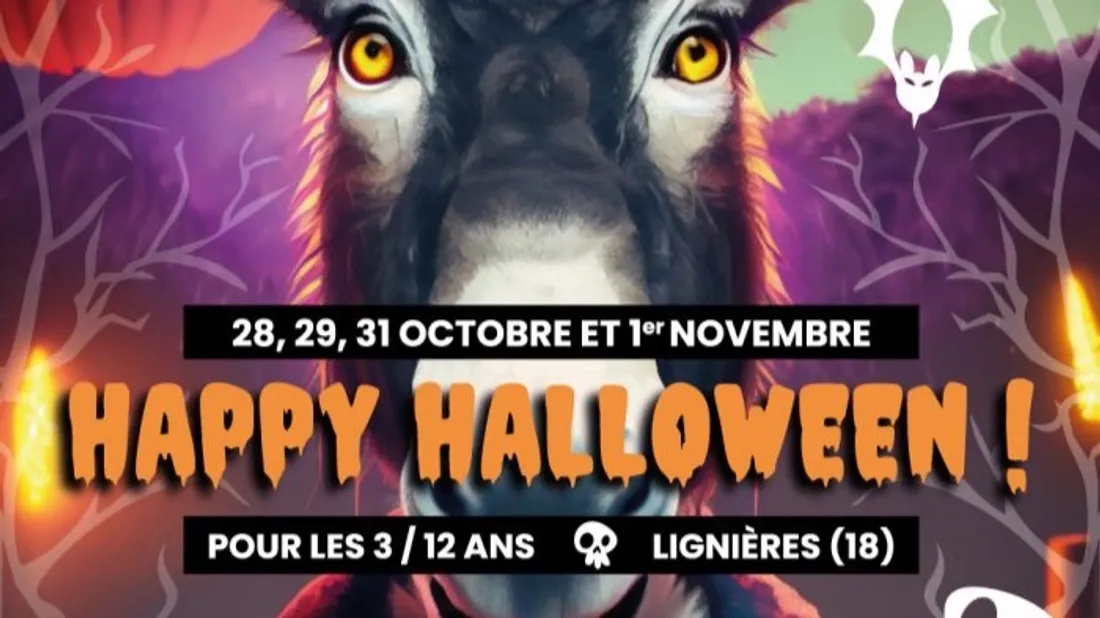 Halloween 2023 à Bourges : nos idées sorties 