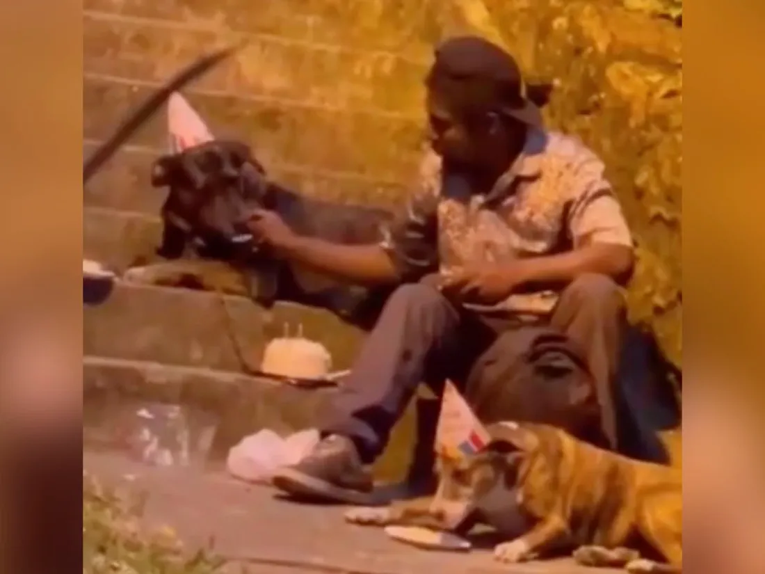 Une homme fête son anniversaire avec ses chiens