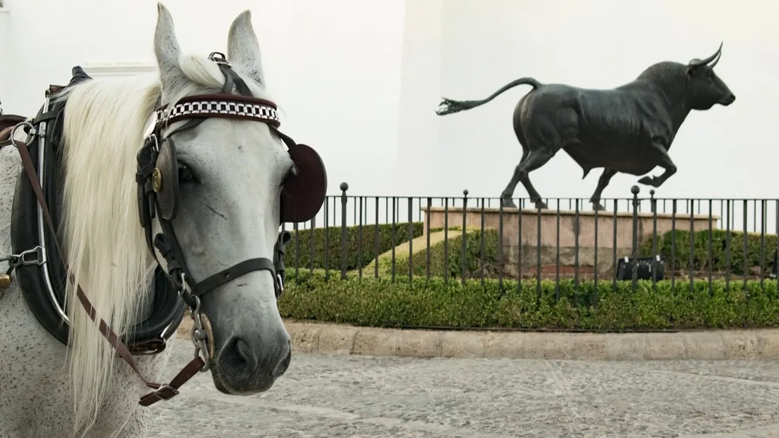 Un cheval dans les rues de Malaga.