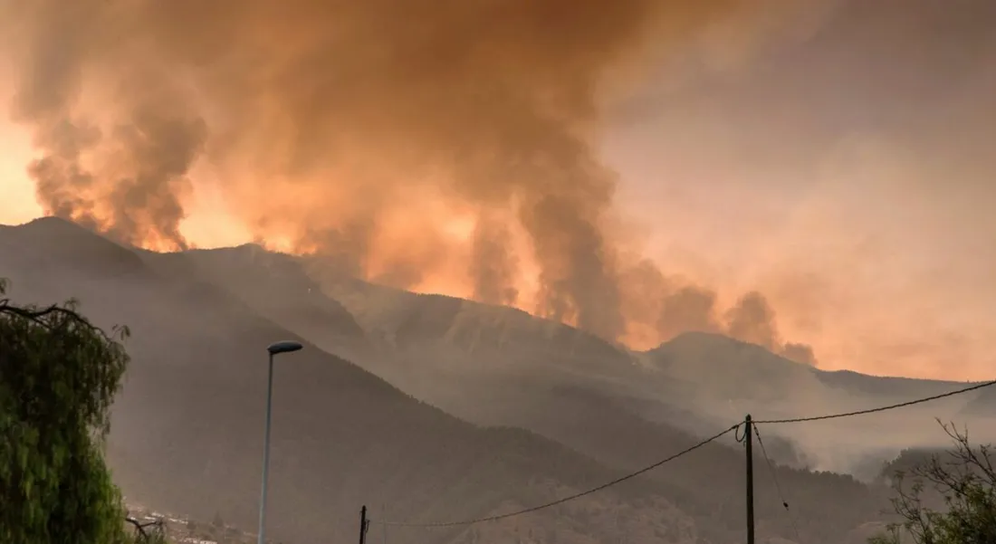 Espagne : un violent feu de forêt "hors de contrôle" sur l'île de Tenerife aux Canaries