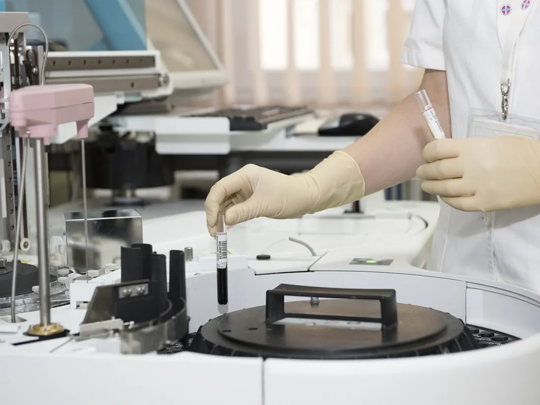 Des scientifiques créent pour la première fois un modèle d'embryon humain sans sperme ni ovule