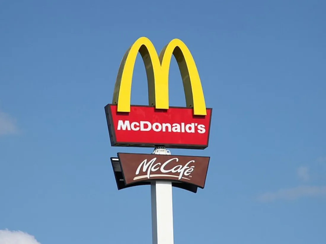 Val-d’Oise : elle porte plainte contre McDonald’s après la découverte d’un lézard dans son repas