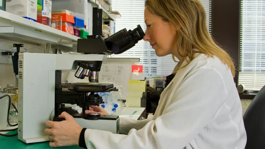 Image d'illustration d'une scientifique travaillant sur la recherche contre le cancer