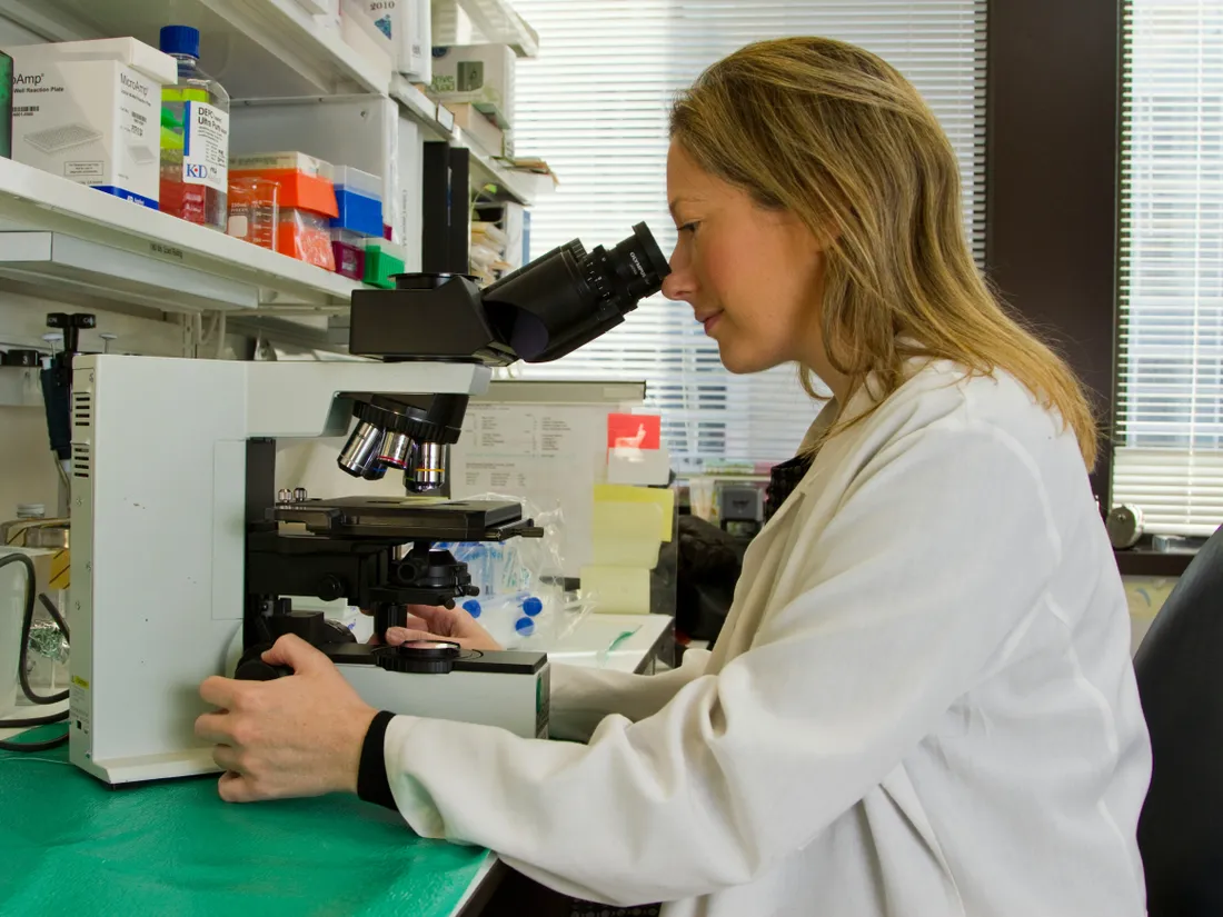 Image d'illustration d'une scientifique travaillant sur la recherche contre le cancer