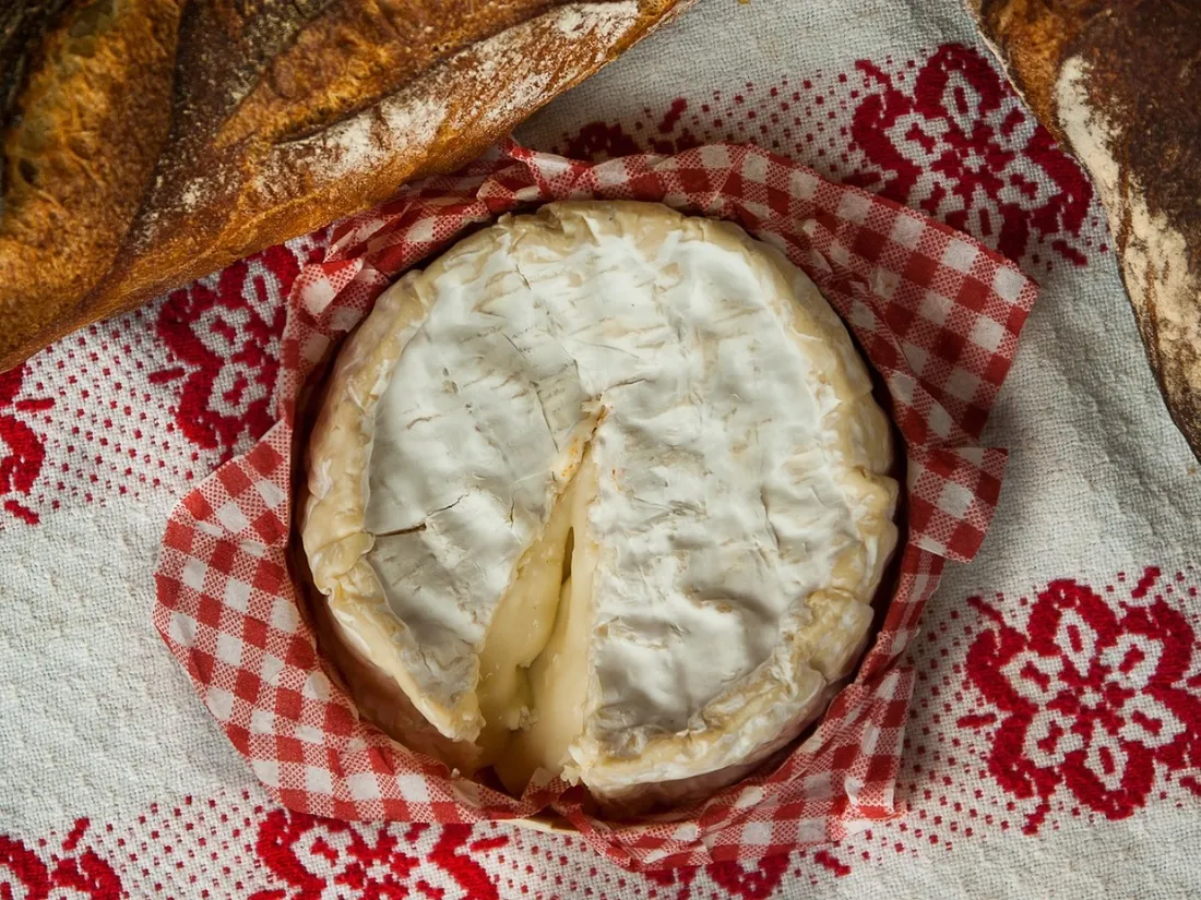 Camembert 