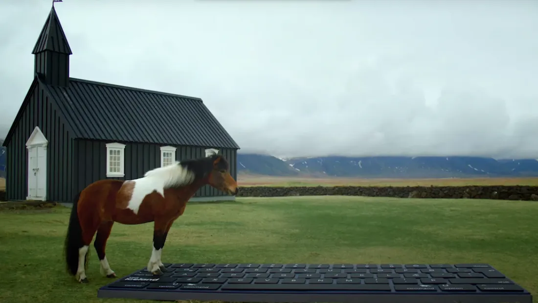 Une cheval islandais répond à vos e-mail.