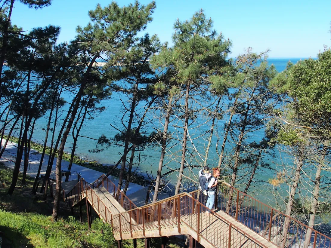L'escalier permet d'accéder à la plage en bas de la Dune