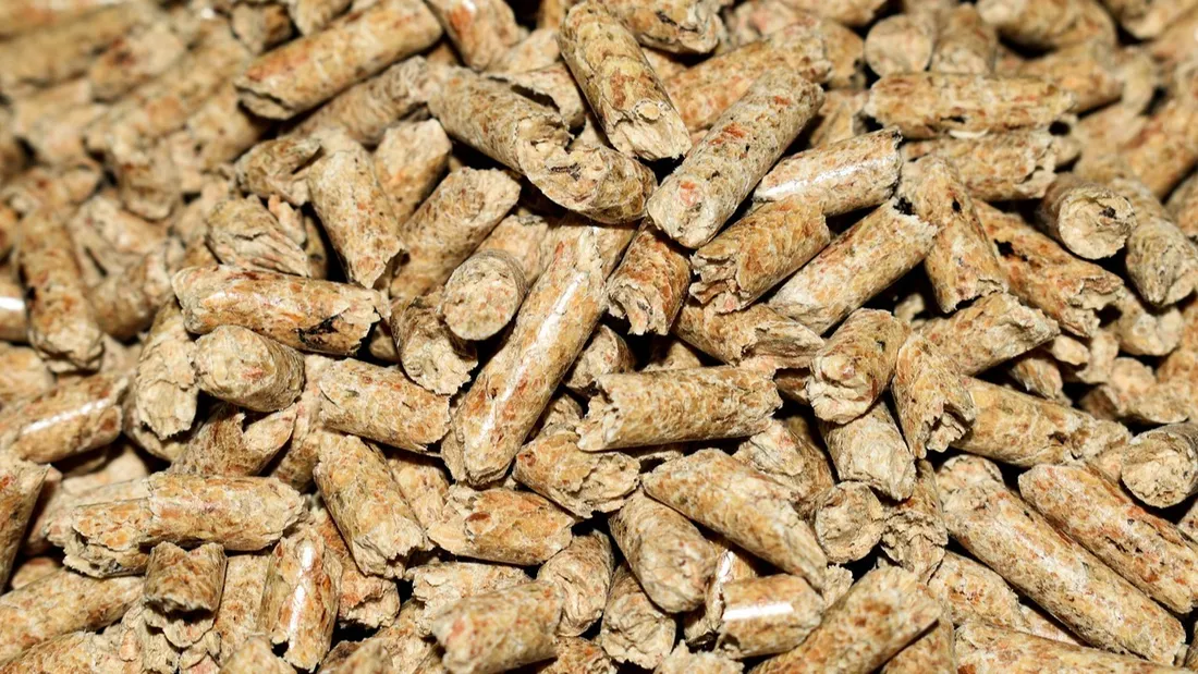 Des pellets - Photo d'illustration