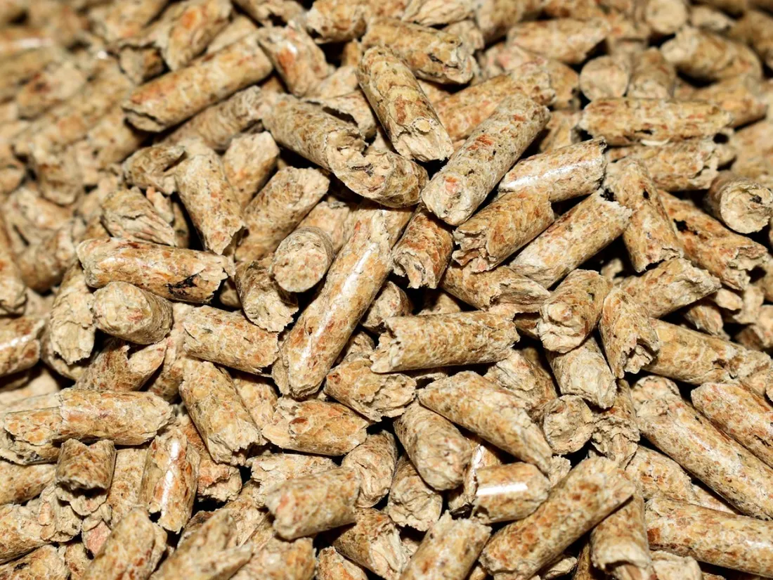 Des pellets - Photo d'illustration