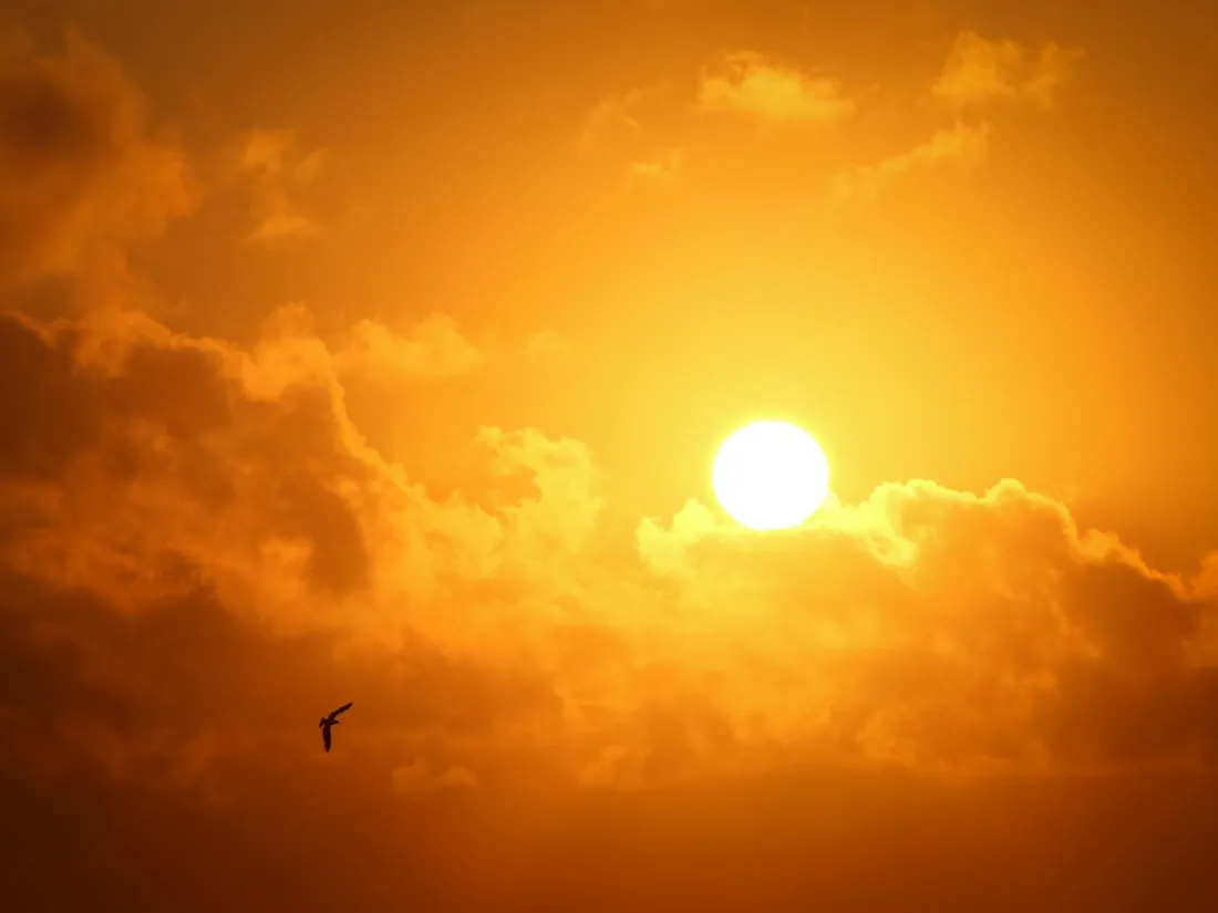 Climat : va-t-on organiser les prochains JO à l’automne ou au printemps ?