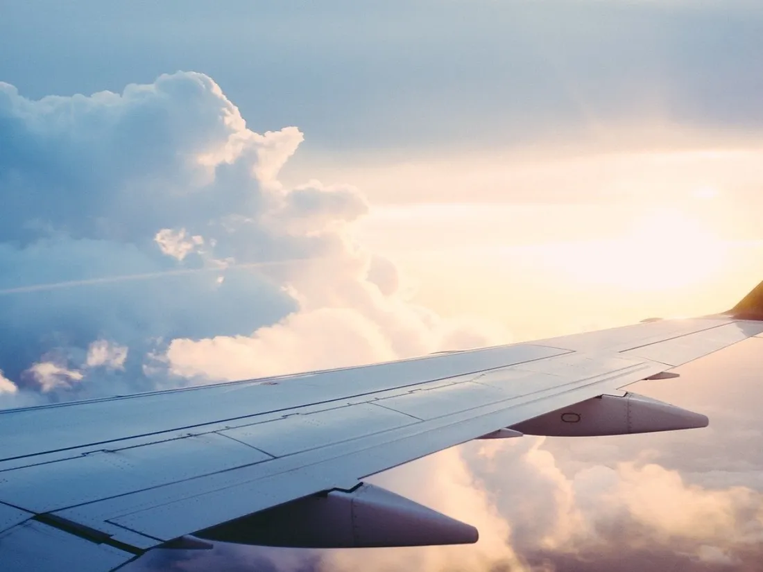 avion