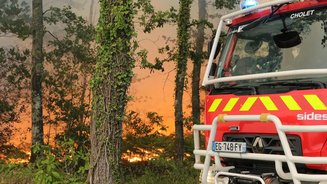 Le feu a déjà ravagé 1200 hectares en Maine-et-Loire.
