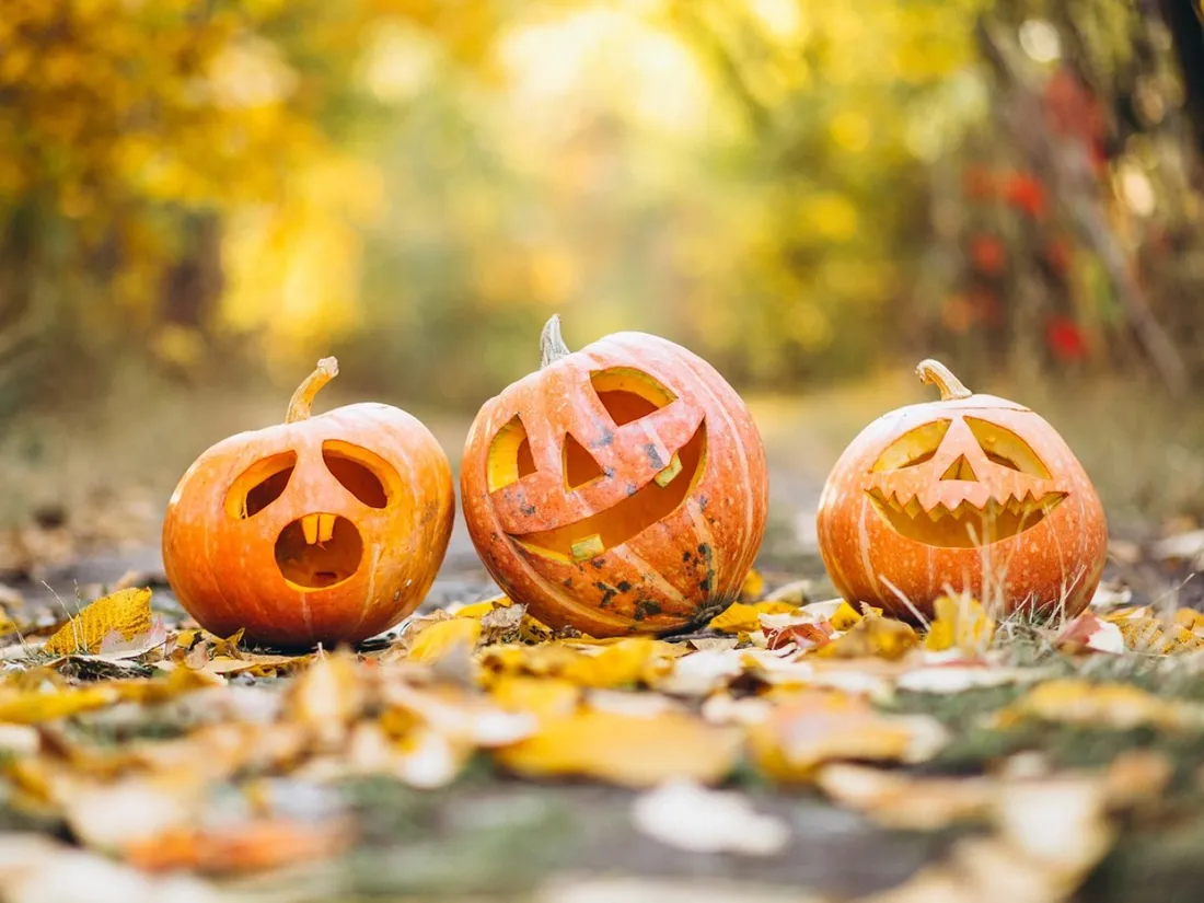 Halloween 