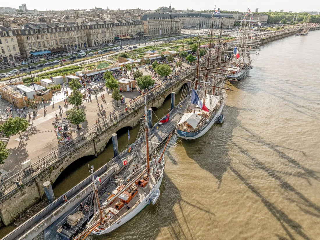 bordeaux ête le vin f