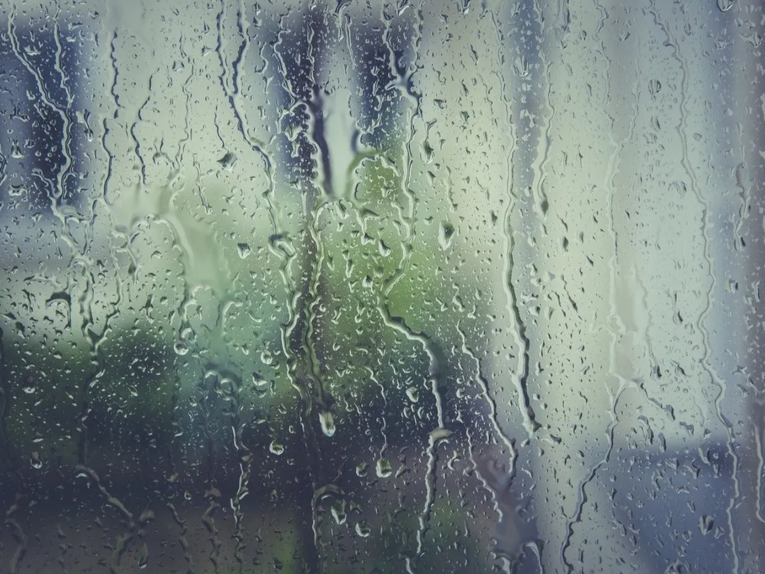 rain 