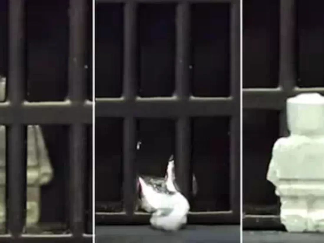Les scientifiques viennent-ils de créer un robot capable de se liquéfier comme dans Terminator 2 ?
