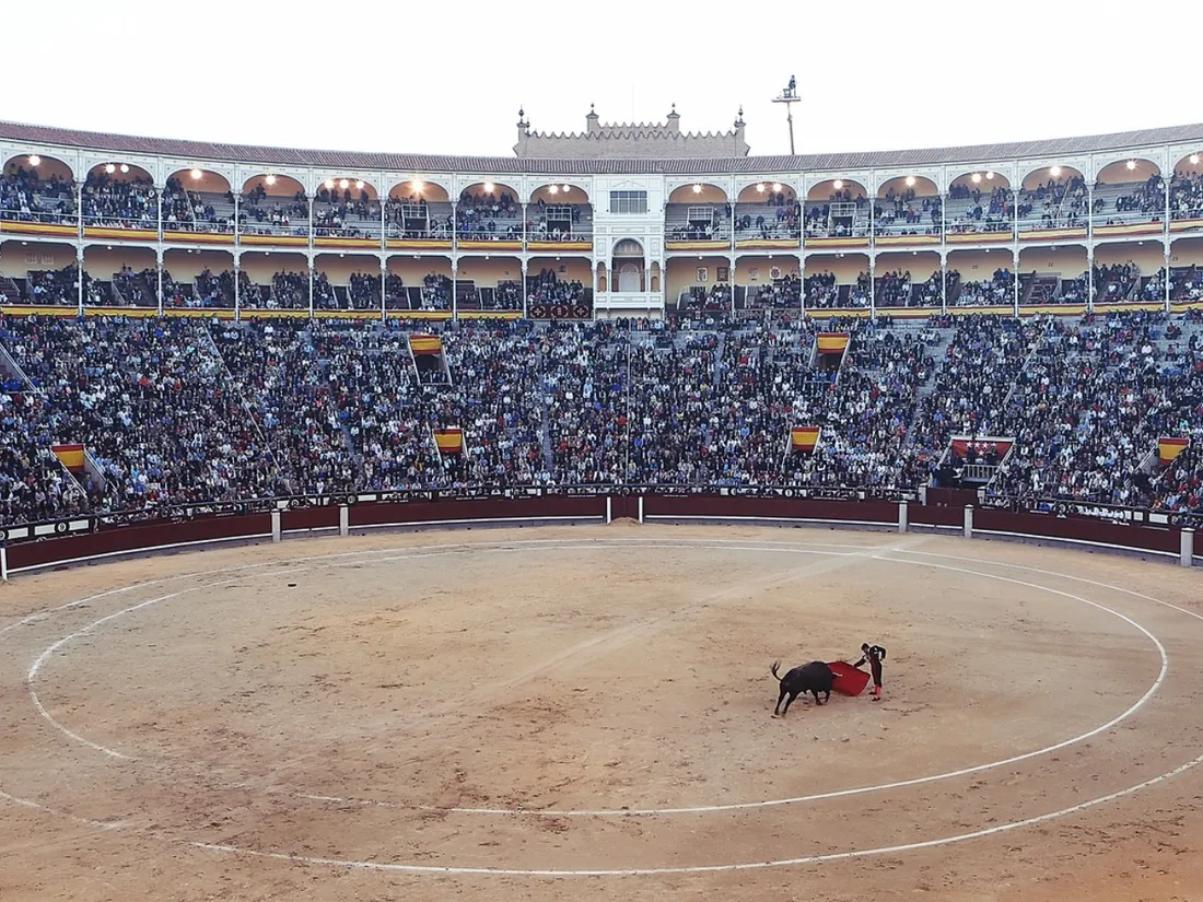Espagne : voici pourquoi la "tauromachie des nains" est désormais interdite