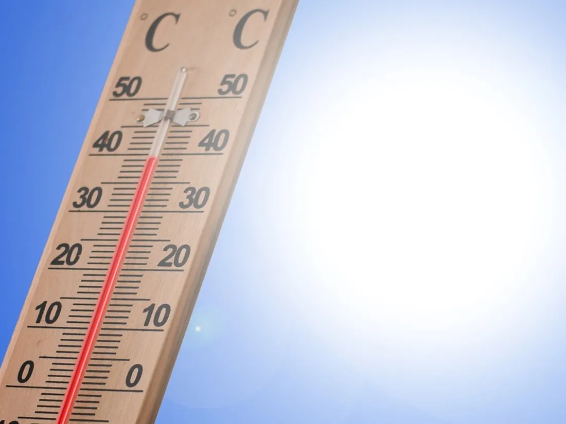 canicule 