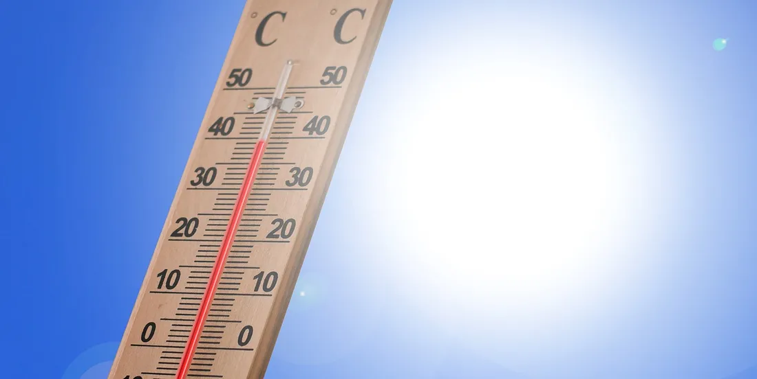 canicule 
