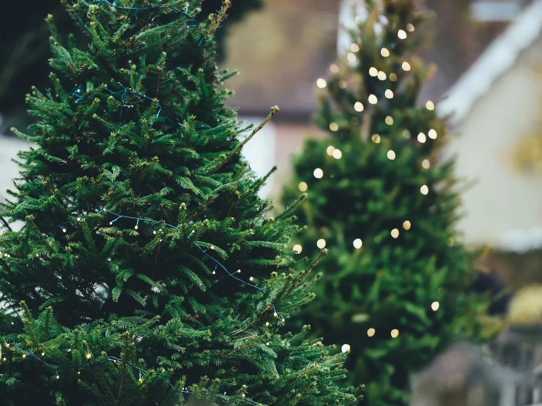 Il est possible de déposer votre sapin jusqu'au 21 janvier.