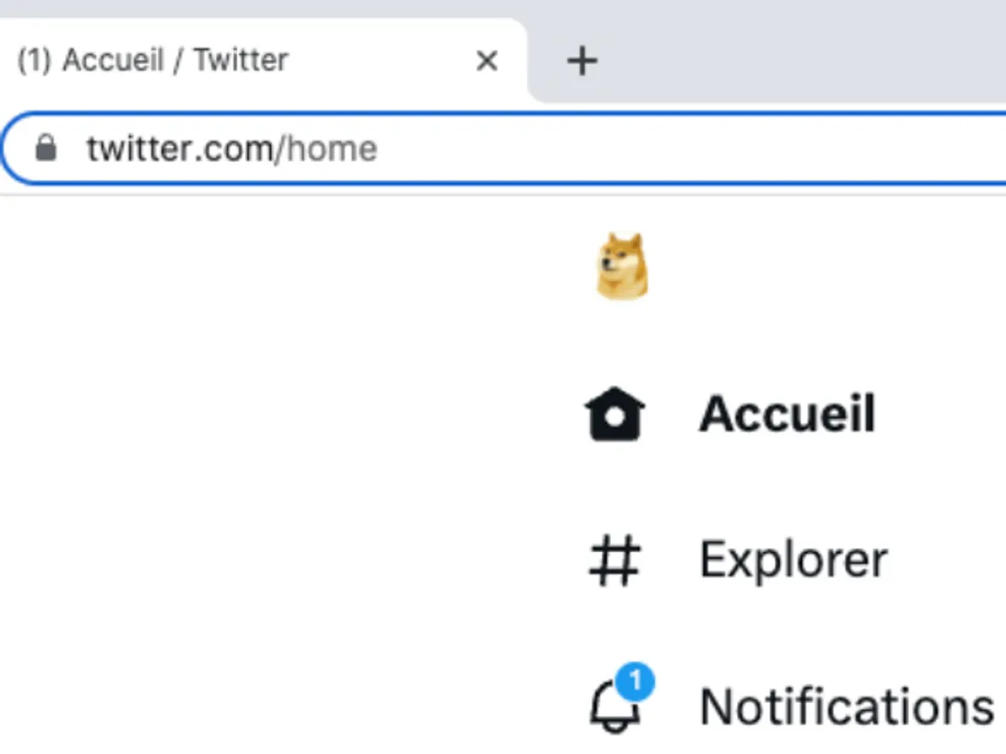 Le logo de Twitter n'est plus un oiseau bleu mais un chien.