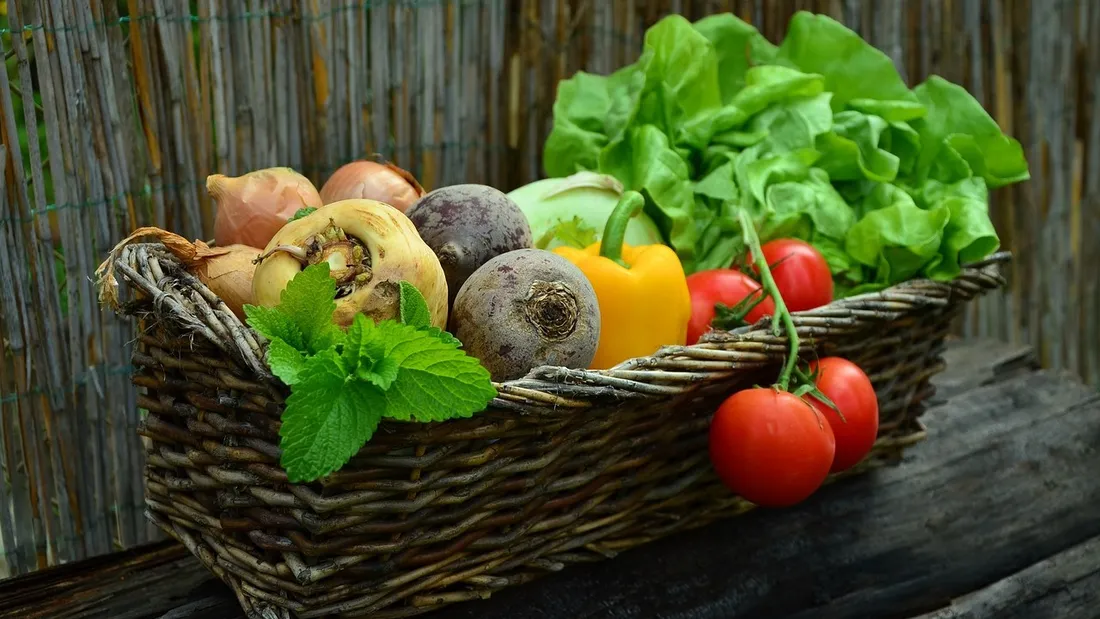 Fruits et légumes - Photo d'illustration