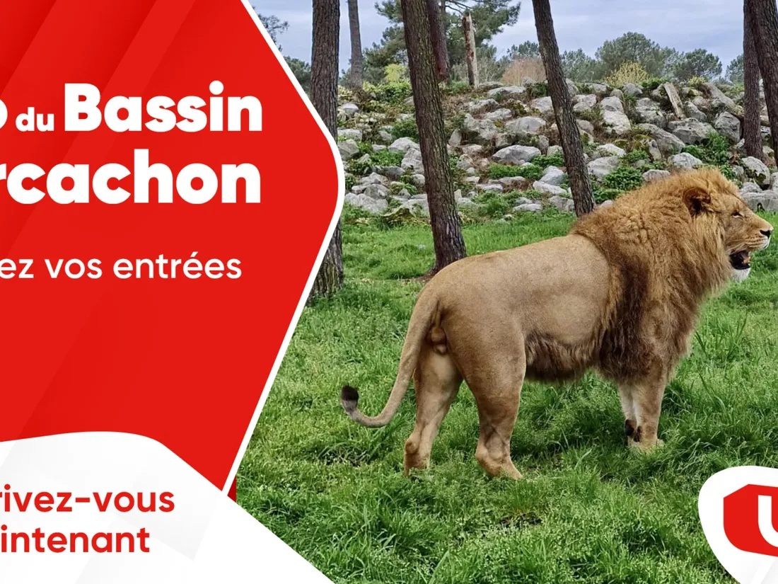 Zoo du Bassin d'Arcachon / Wit FM