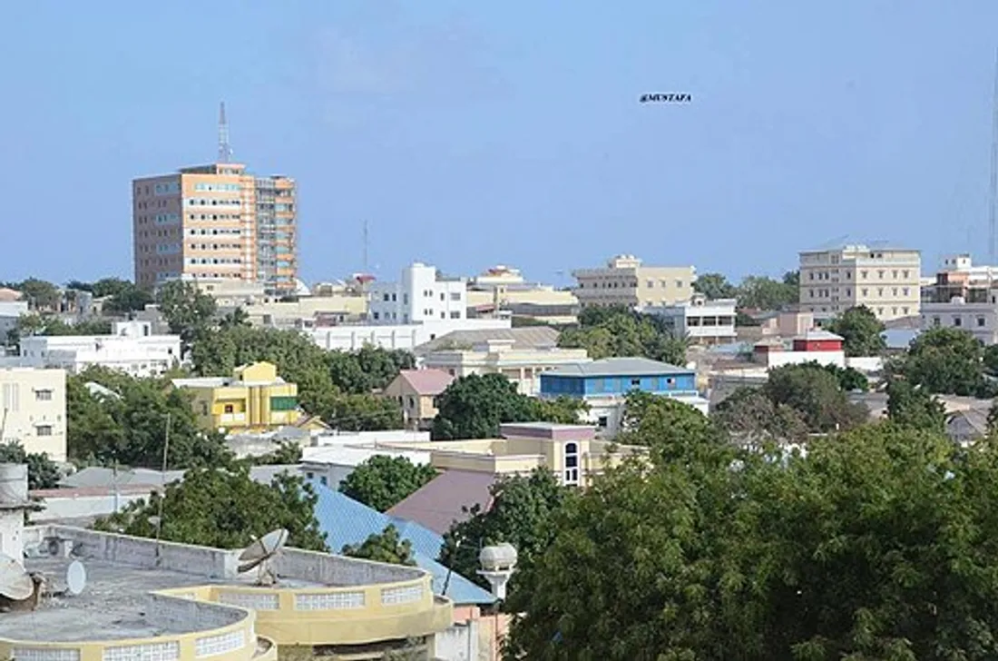 9 personnes ont été tuées et 20 autres blessées dimanche soir à Mogadiscio, capitale de la Somalie, 