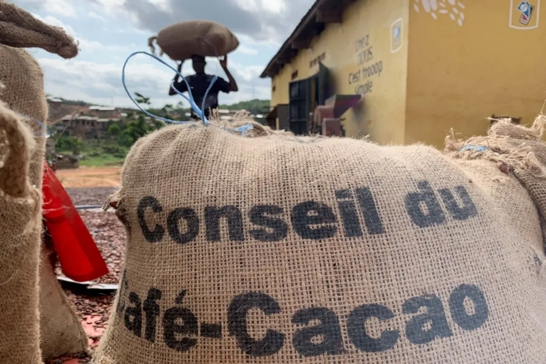 L’Agrément pour les Exportateurs de Café Cacao pour la campagne 2023/2024, disponible
