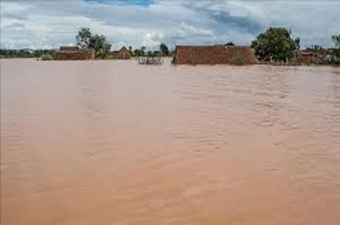 Inondations dans la région de Maradi, au Niger