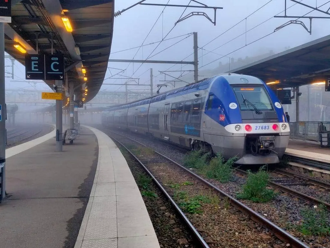 train