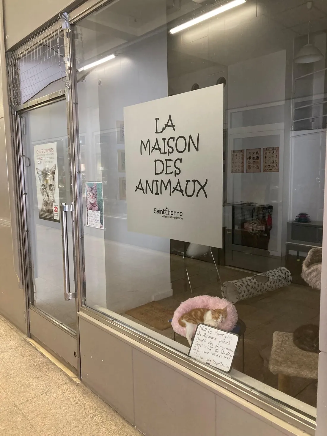 Maison des Animaux 