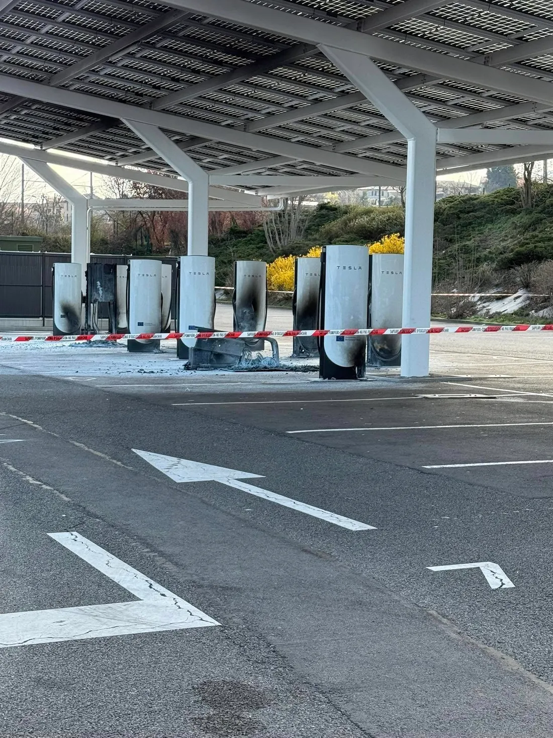 TEsla 