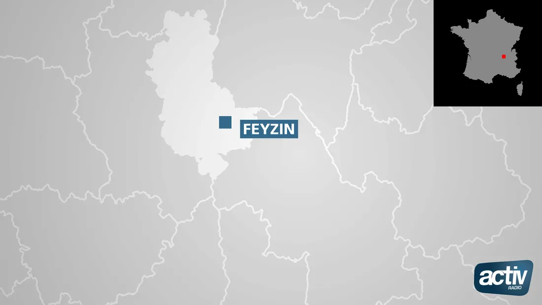 Feyzin 
