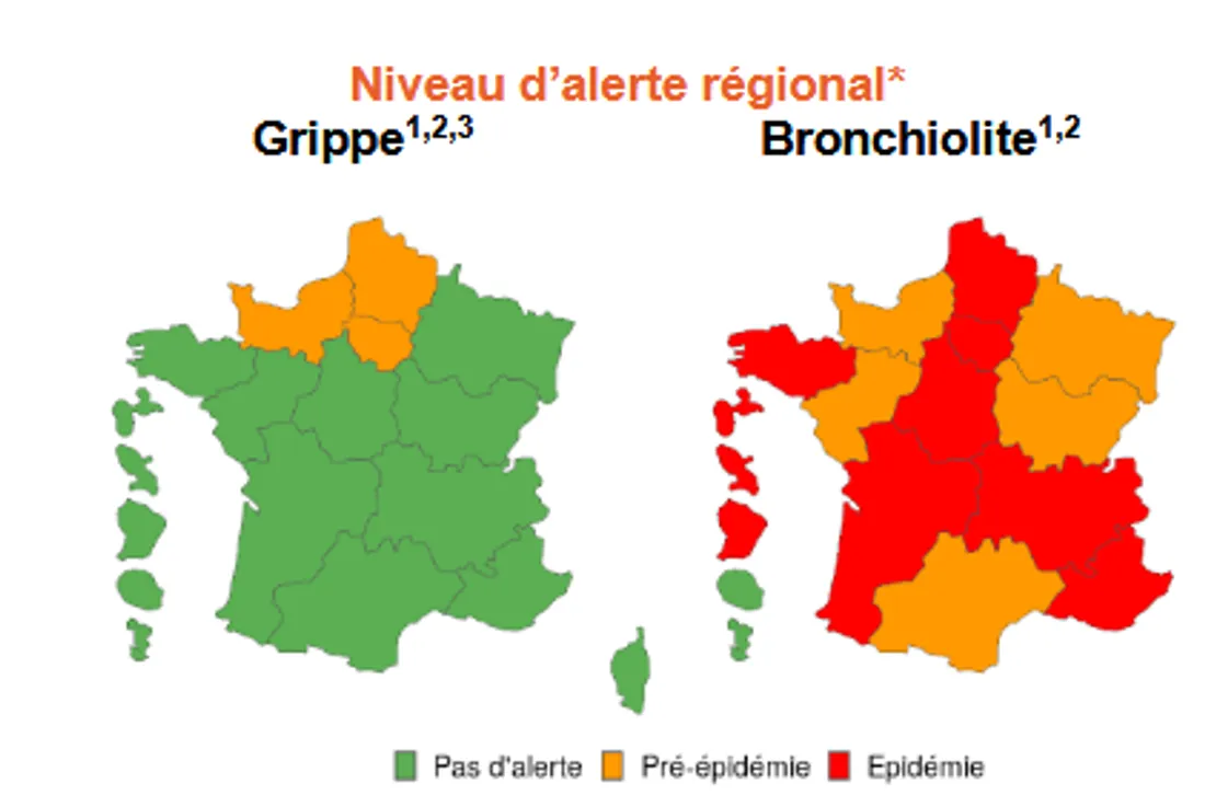 La bronchiolite en AURA.