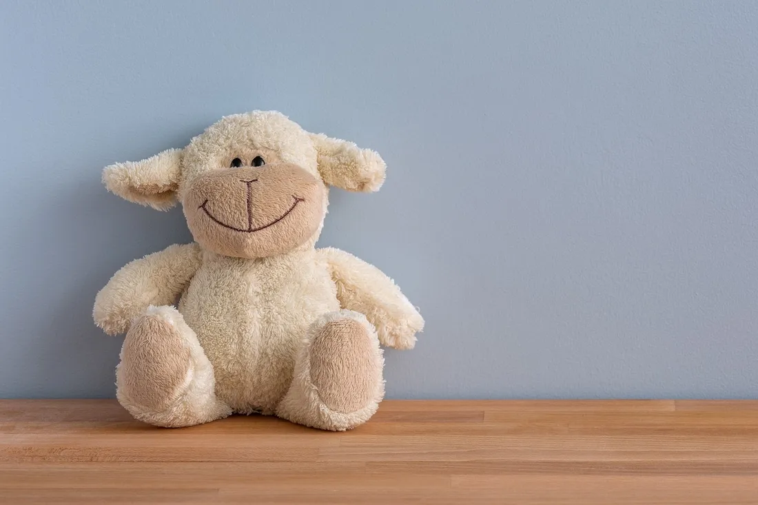 Une peluche.