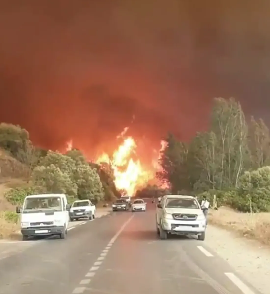 Incendie Algérie 