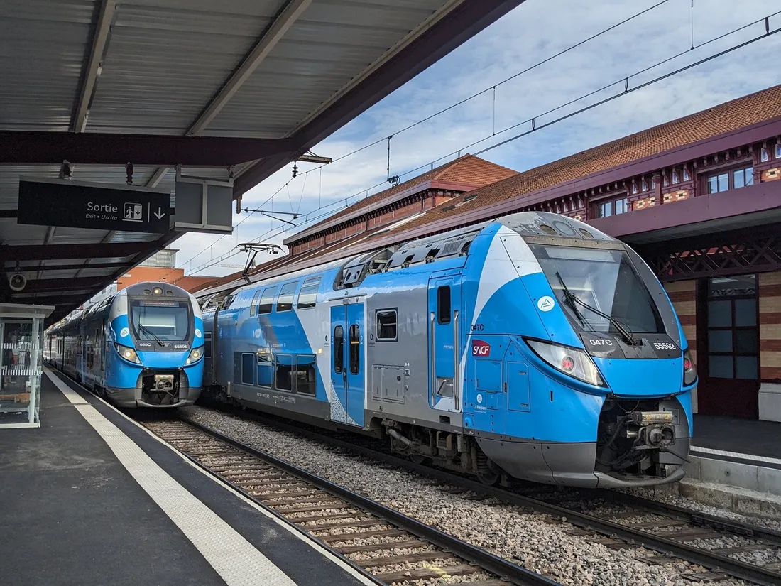 train